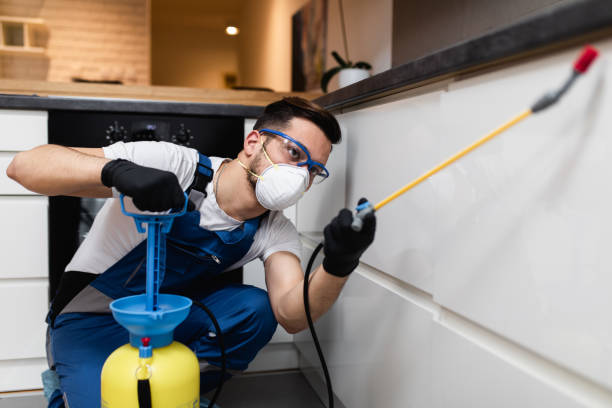 Best Emergency Pest Control  in Mustang, OK