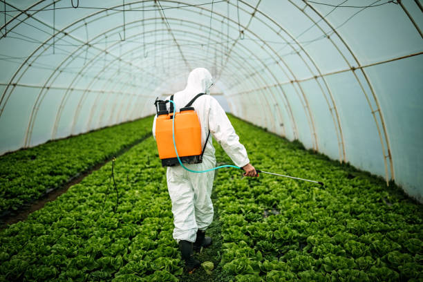 Pest Control Cost in Mustang, OK