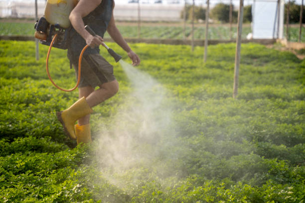 Best Wildlife Control Services  in Mustang, OK