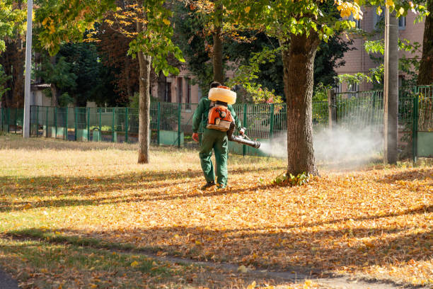 Best Mosquito Control Services  in Mustang, OK
